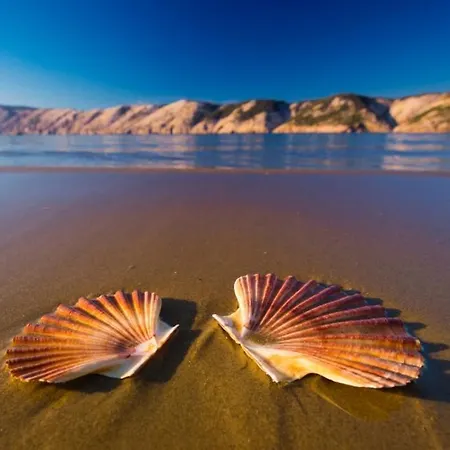 In With Sea View, Terrace, Wireless, Washing Machine