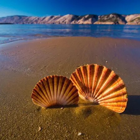 In With Sea View, Terrace, Wireless, Washing Machine شقة لوبار