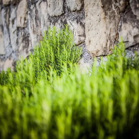 In With Sea View, Terrace, Wireless, Washing Machine