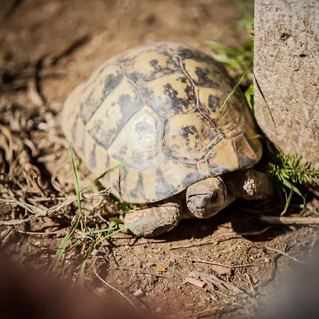 In With Sea View, Terrace, Wireless, Washing Machine *